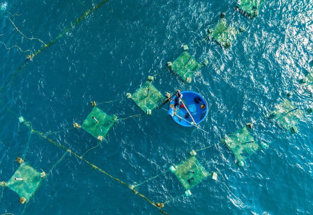 Top View of a Fisherman Working on a Fishing Farm